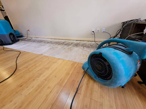 Professional Sewage Cleanup technician working in Whitman, MA
